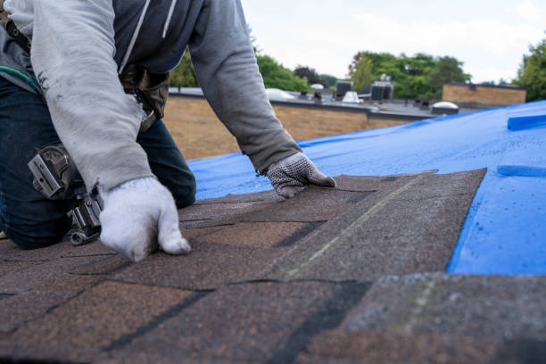Gutter Installation and Roofing in Lambertville, MI