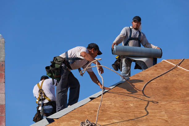 Best Gutter Installation and Roofing  in Lambertville, MI