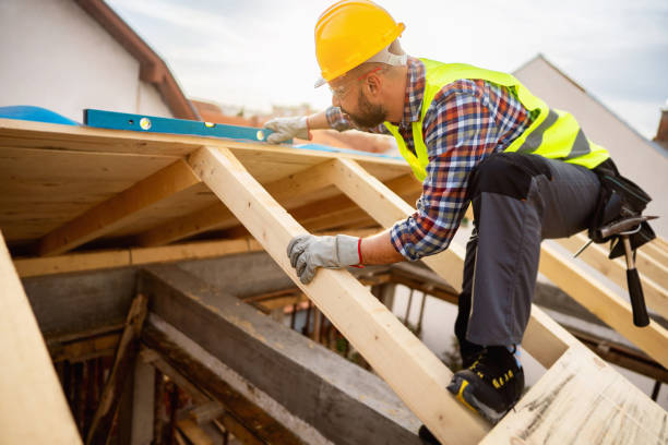 Best Roof Gutter Cleaning  in Lambertville, MI