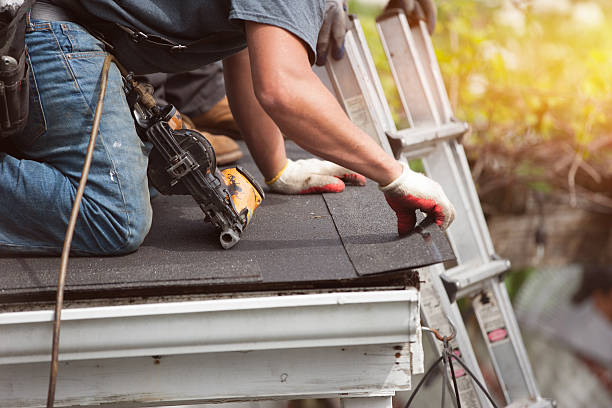 Best Best Roofing Contractors  in Lambertville, MI