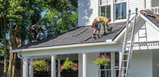 Best New Roof Installation  in Lambertville, MI
